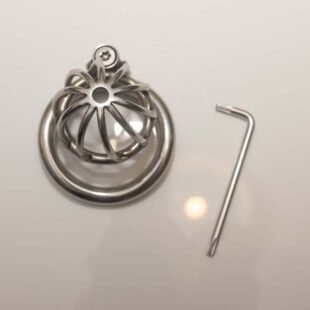 Small Metal Male Chastity Cage with 45mm Cock Ring